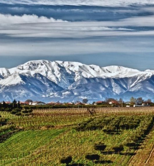 만년설 아름다운 테누타 울리쎄 빈야드. 인스타그램