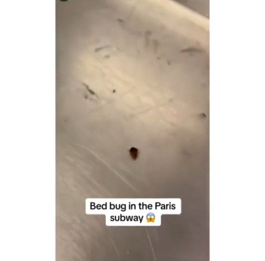프랑스 파리 지하철 안에서 발견된 빈대. 트위터 영상 캡처