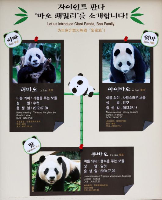 에버랜드 판다월드에 바오패밀리 소개 안내문이 붙어 있다.