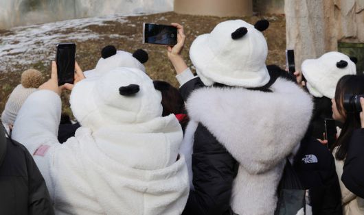 에버랜드 판다월드를 찾은 관람객들이 판다모자를 쓰고 푸바오를 촬영하고 있다.