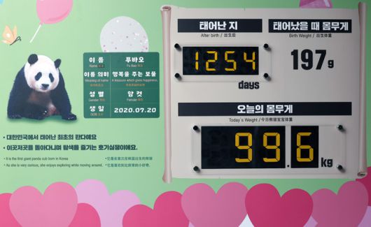 에버랜드 판다월드에 푸바오를 소개하는 안내문이 붙어 있다.