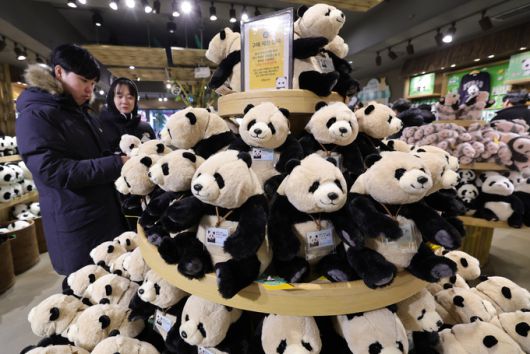 에버랜드 판다월드 기념품점에 푸바오 인형이 전시되어 있다. 에버랜드 전체 방문객 10명 중 1명은 인형, 헤어밴드 등 판다 관련 굿즈를 기념품으로 구입한다.