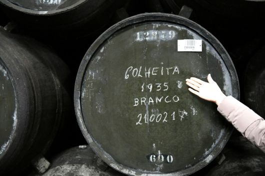 콜헤이타 1935. 최현태 기자