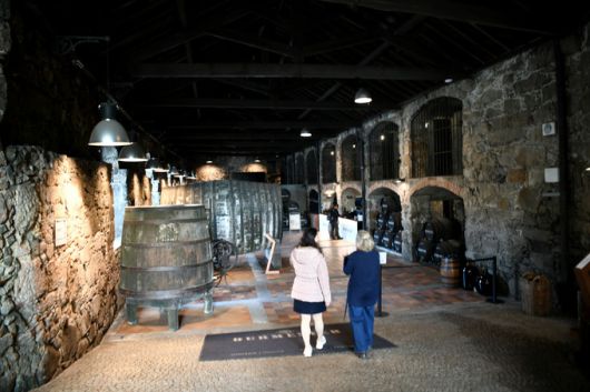 버메스터 셀러. 최현태 기자