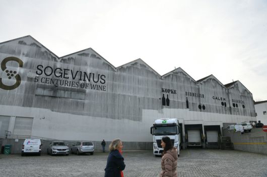 소제비누스 셀러. 최현태 기자