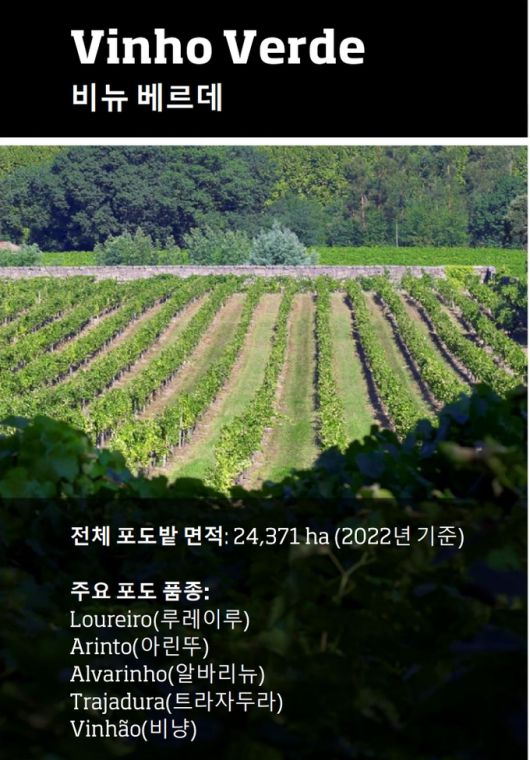 세계일보