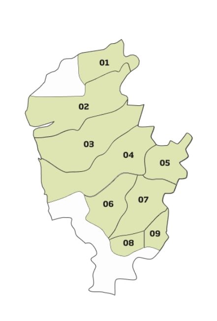 세계일보