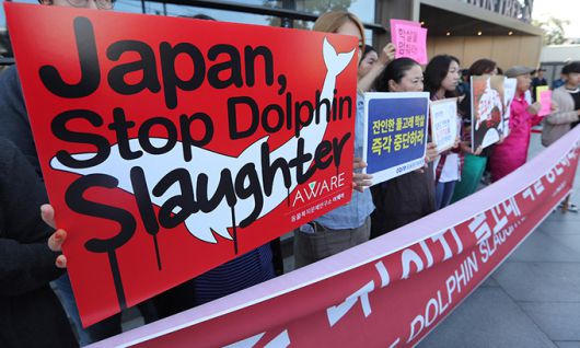 지난 2017년 9월 18일 동물보호단체 관계자들이 기자회견을 열고 일본 정부에 돌고래 학살을 중단할 것을 촉구하고 있다. 연합뉴스