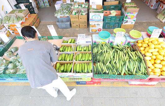 세계일보