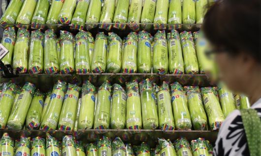 서울의 한 대형마트 채소 코너. 연합뉴스