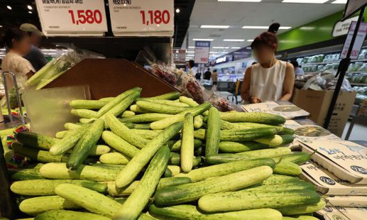 21일 서울 시내 한 대형마트에서 시민들이 오이 등 채소를 고르는 모습. 뉴스1