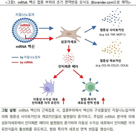 세계일보