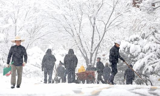 세계일보