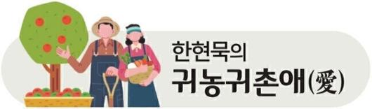 세계일보