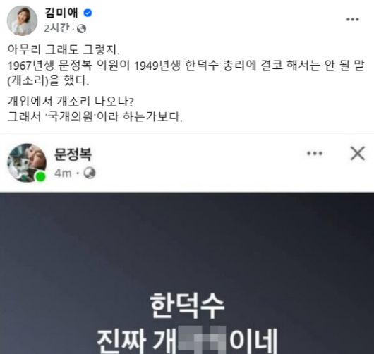 김미애 국민의힘 의원이 지난 26일 문정복 더불어민주당 의원의 '한덕수(대통령 권한대행) 진짜 개XX이네' 발언 페이스북 게시물 캡처를 공유하며 공개 비판했다. 김미애 국회의원 페이스북 게시물 캡처
