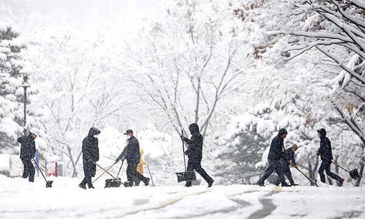 세계일보