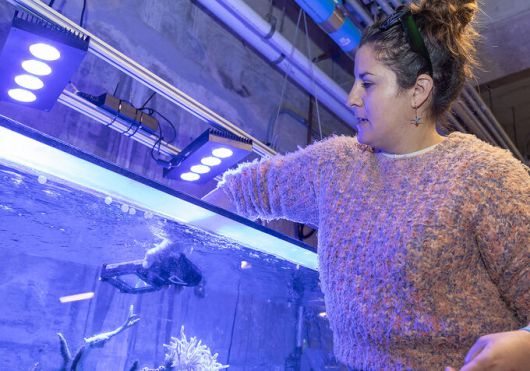 스크립스 소속 연구원이 갤럭시 S24 울트라의 오션 모드로 수중 촬영을 하고 있다. 삼성전자 제공