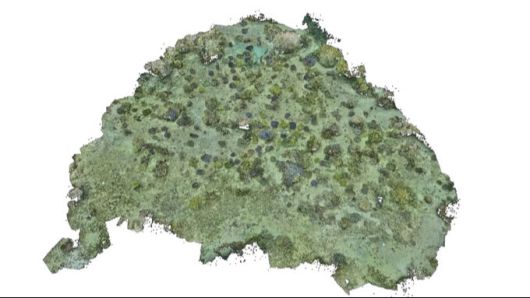 삼성전자 갤럭시 스마트폰으로 찍은 수중 사진으로 구축한 3차원 산호초 지도 모습. 삼성전자 뉴스룸 제공