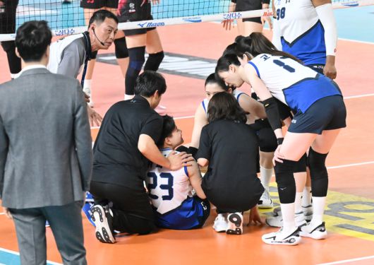세계일보