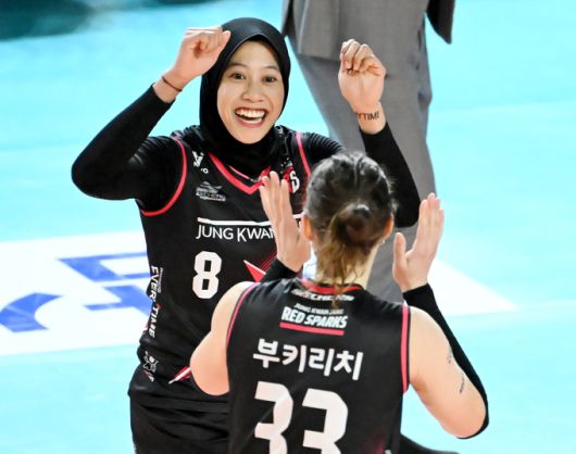 세계일보