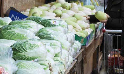 서울 서초구 하나로마트 양재점 채소 코너. 연합뉴스