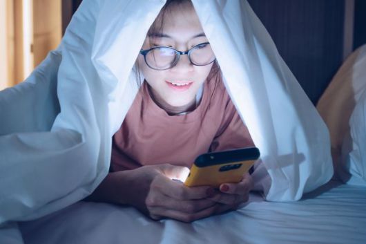 세계일보
