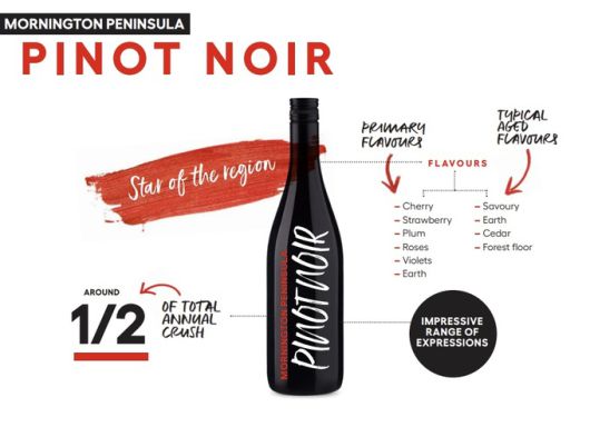 모닝턴 페닌슐라 피노누아 캐릭터. 호주와인협회