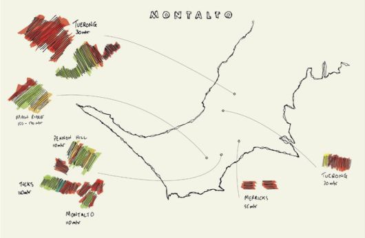 몬탈도 5개 포도밭 위치. 홈페이지