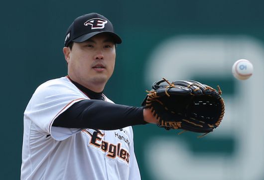 세계일보