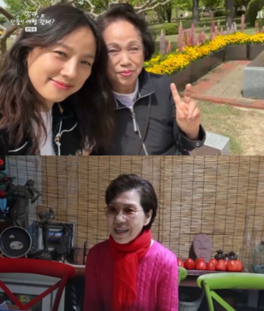 세계일보