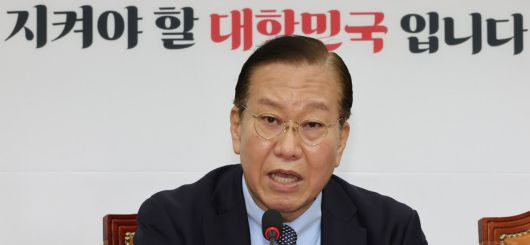 국민의힘 권영세 비상대책위원장. 연합뉴스