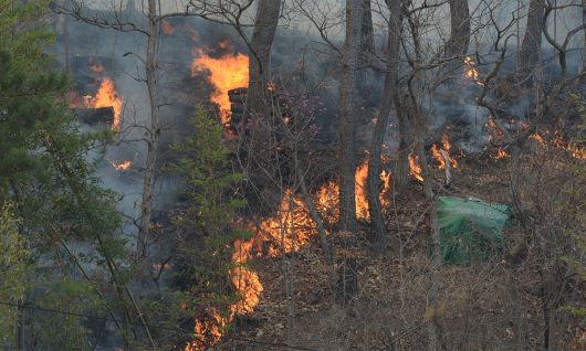 지난 3월 26일 울산시 울주군 온양읍에서 산불이 번지고 있다. 뉴시스