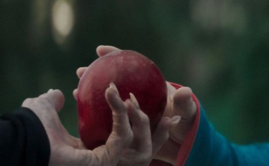 디즈니가 애니메이션 실사 영화 '라푼젤'의 제작을 잠정 중단했다. 월트디즈니 코리아 인스타그램 캡처