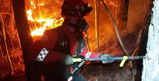산불진화 현장. 공공운수노조 산림청지회 제공