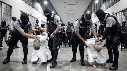 엘살바도르 테러범수용센터(CECOT)에 수감된 사람들 갱 단원들. 로이터 연합뉴스