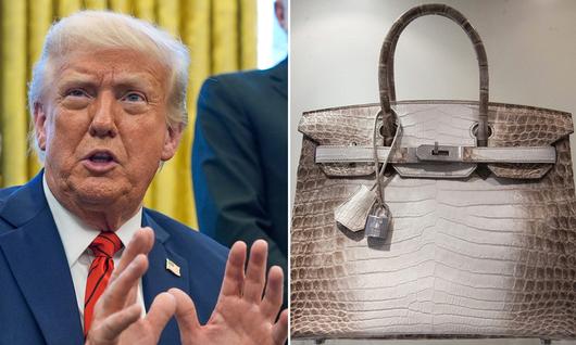 도널드 트럼프 미국 대통령(왼쪽), 에르메스의 버킨백. AP·EPA연합뉴스