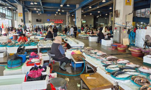 포항 죽도시장.