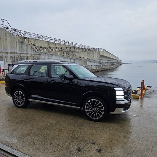 디 올 뉴 팰리세이드 하이브리드 옆모습.