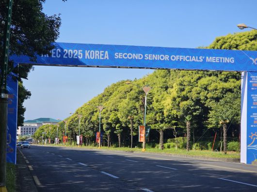 서귀포시 중문관광단지에 옥외광고물과 현수막, 조형물 등이 설치돼 에이펙 제주회의 개최 분위기가 달아오르고 있다. 제주도 제공