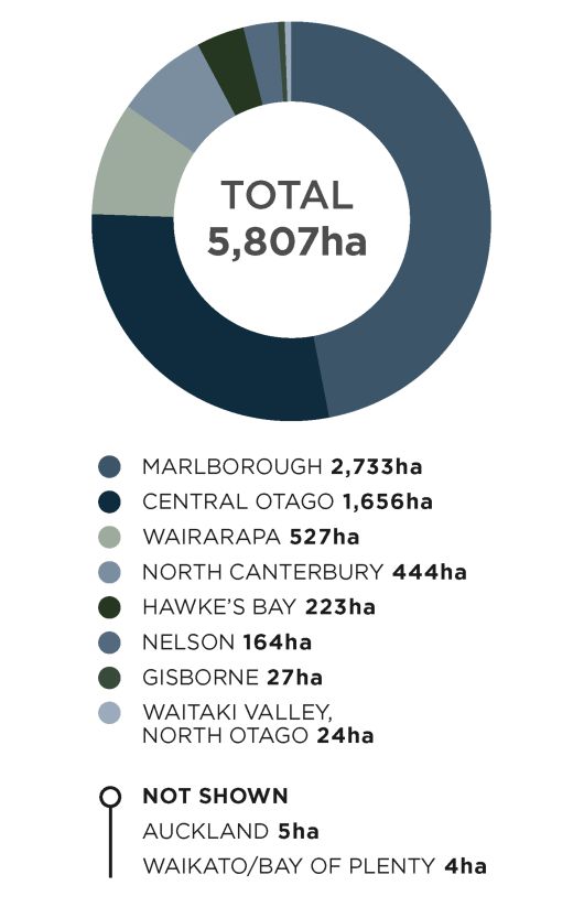 뉴질랜드 피노누아 산지별 현황. 협회
