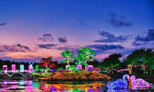 야간 조명을 켠 네이처 월드.