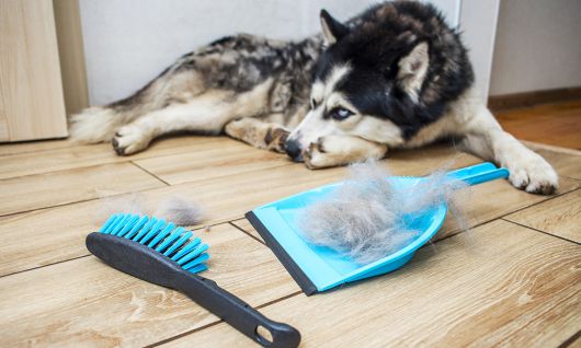 사진=게티이미지뱅크 제공