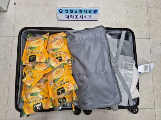 여행가방 속 건망고에 든 대마초