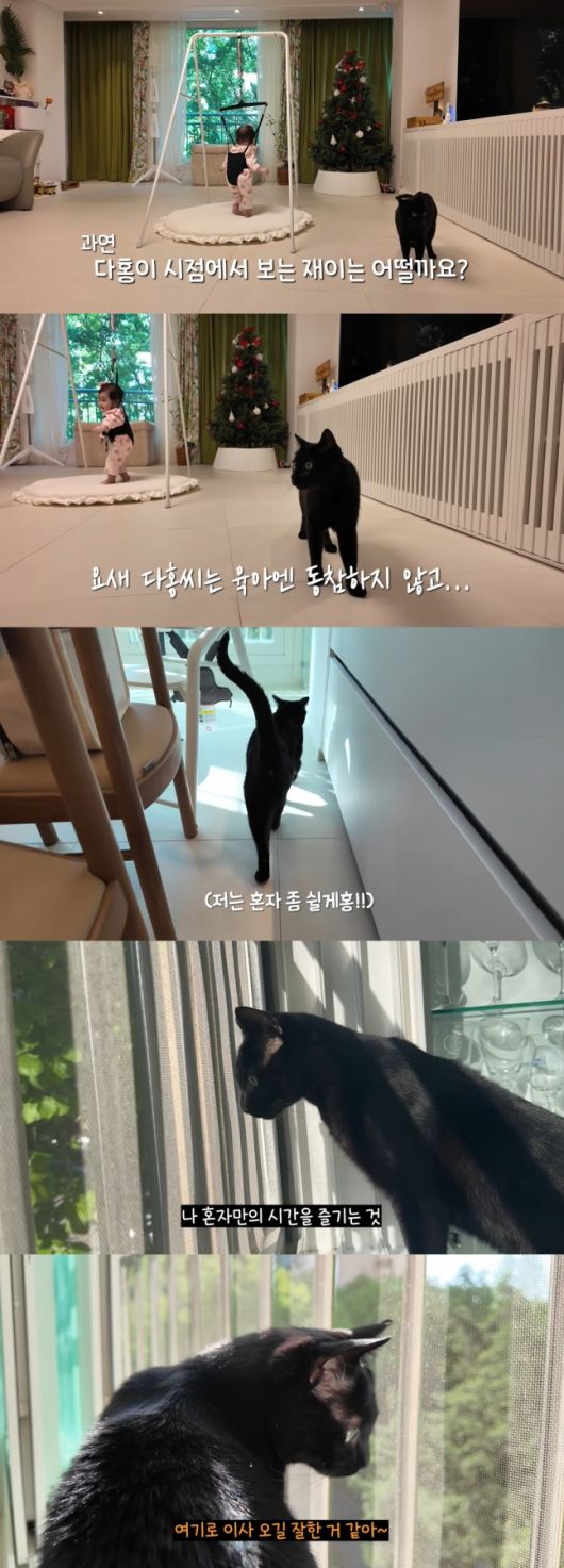 유튜브 채널 ‘박수홍 행복해다홍’ 캡처