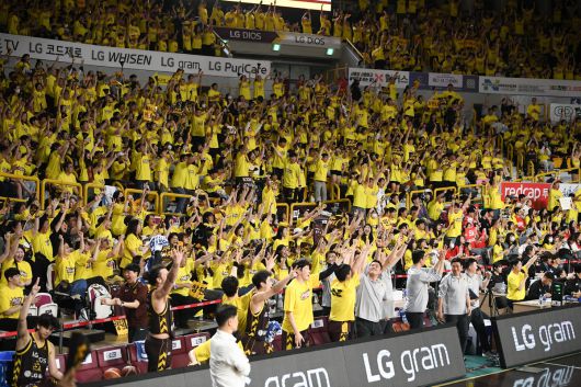 창원 LG의 경기에서 LG 선수들과 팬들이 기뻐하고 있다. KBL 제공