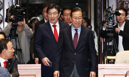 권성동 국민의힘 원내대표 대행(왼쪽), 권영세 전 비상대책위원장. 뉴스1