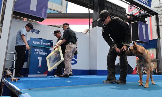 폭발물 탐지견 등장 13일 대구 중구 동성로에서 열린 더불어민주당 이재명 대선 후보의 집중 유세를 앞두고, 경찰특공대 폭발물 탐지견이 연단 주변을 탐색하고 있다.   대구=허정호 선임기자