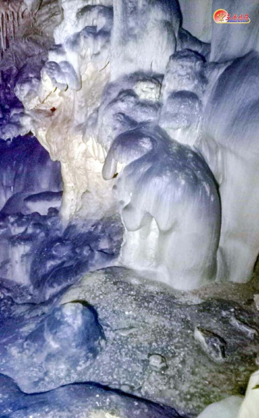 북한 노동당 기관지 노동신문은 11일 "얼마 전 고원군 이룡리에서 특이한 자연동굴이 발견됐다"면서 이룡동굴이 천연기념물로 등록됐다고 보도했다.