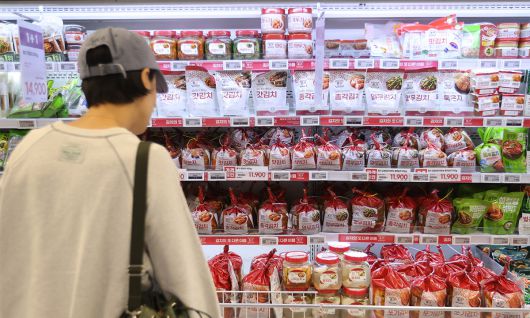 이상기온과 고환율로 김치 수입이 늘면서 김치 무역 적자 폭도 커지고 있다. 사진은 서울 시내 한 대형마트에서 시민들이 김치를 고르고 있는 모습. 연합뉴스