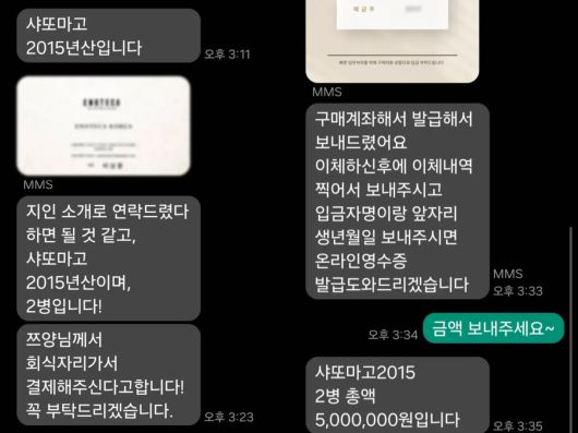 쯔양이 공개한 사칭 피해 문자. 유튜브 채널 'tzuyang 쯔양' 캡처.